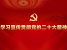 学习宣传贯彻党的二十大精神