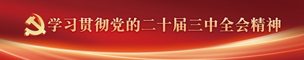 学习贯彻党的二十届三中全会精神